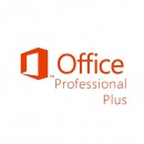OfficeProPlus 2013 SNGL OLP NL